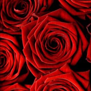 Meet your Posher, Bianca